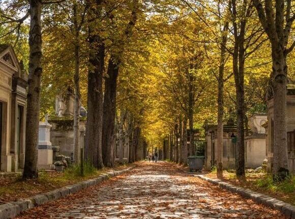 Père Lachaise Cemetery Tour : Picture of an alley in the autumn with colorful leaves on the ground.