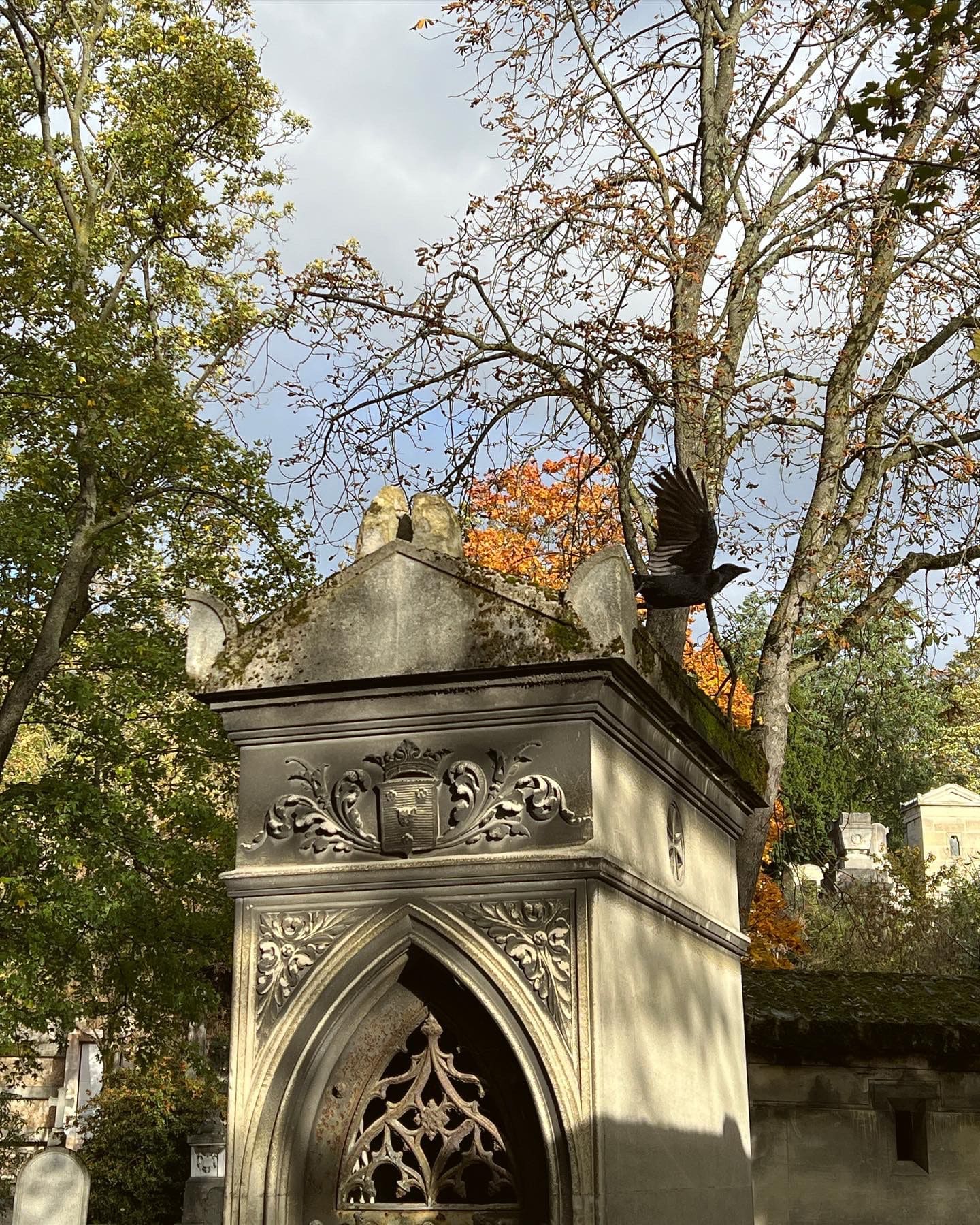 PL Crow over the grave