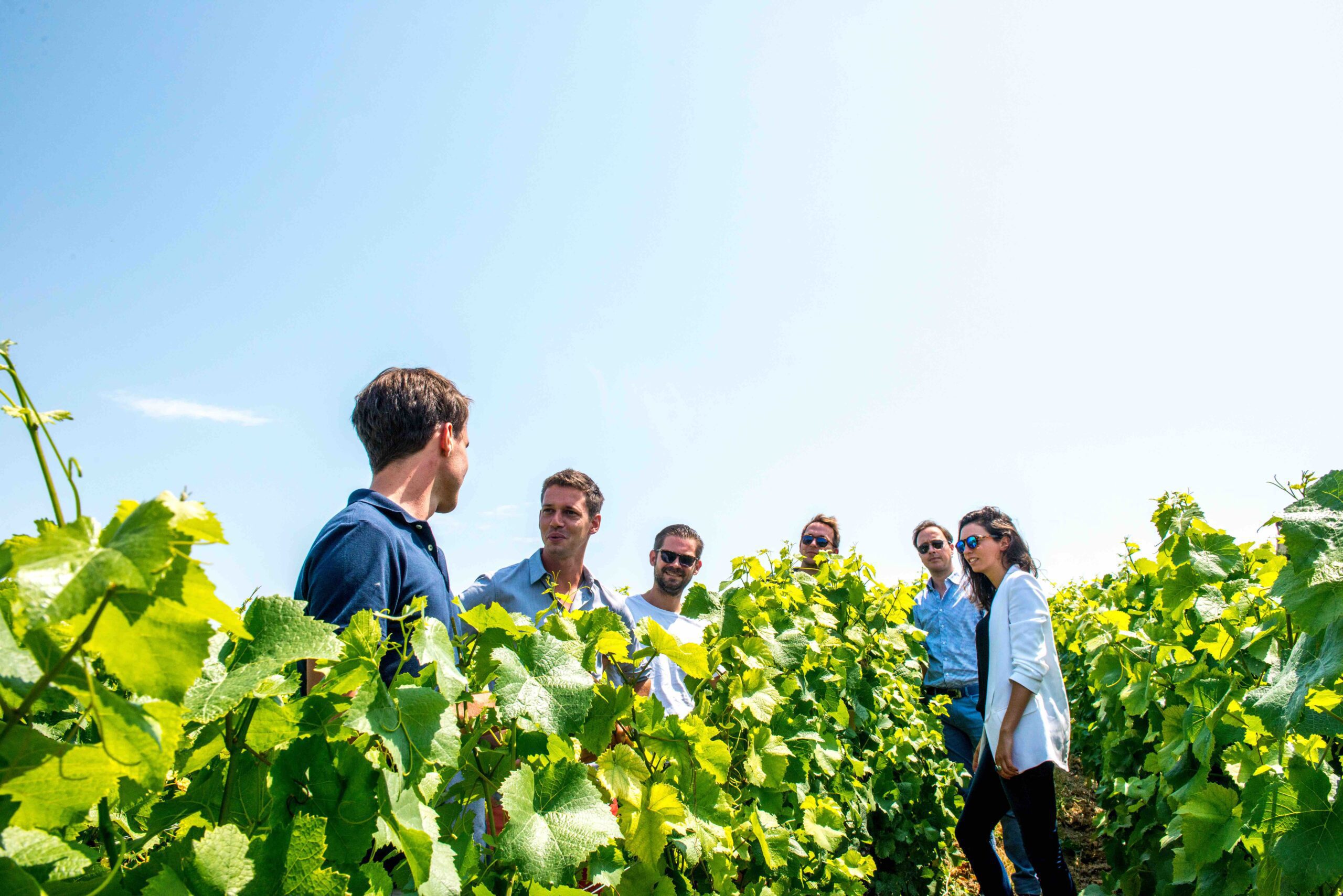 Guided vineyard talk on Champagne train tour Small group stands between tall green vine rows on a sunny day, listening to a guide during a private Champagne vineyard visit.